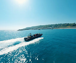 Lyme Thrill and Chill.jpg