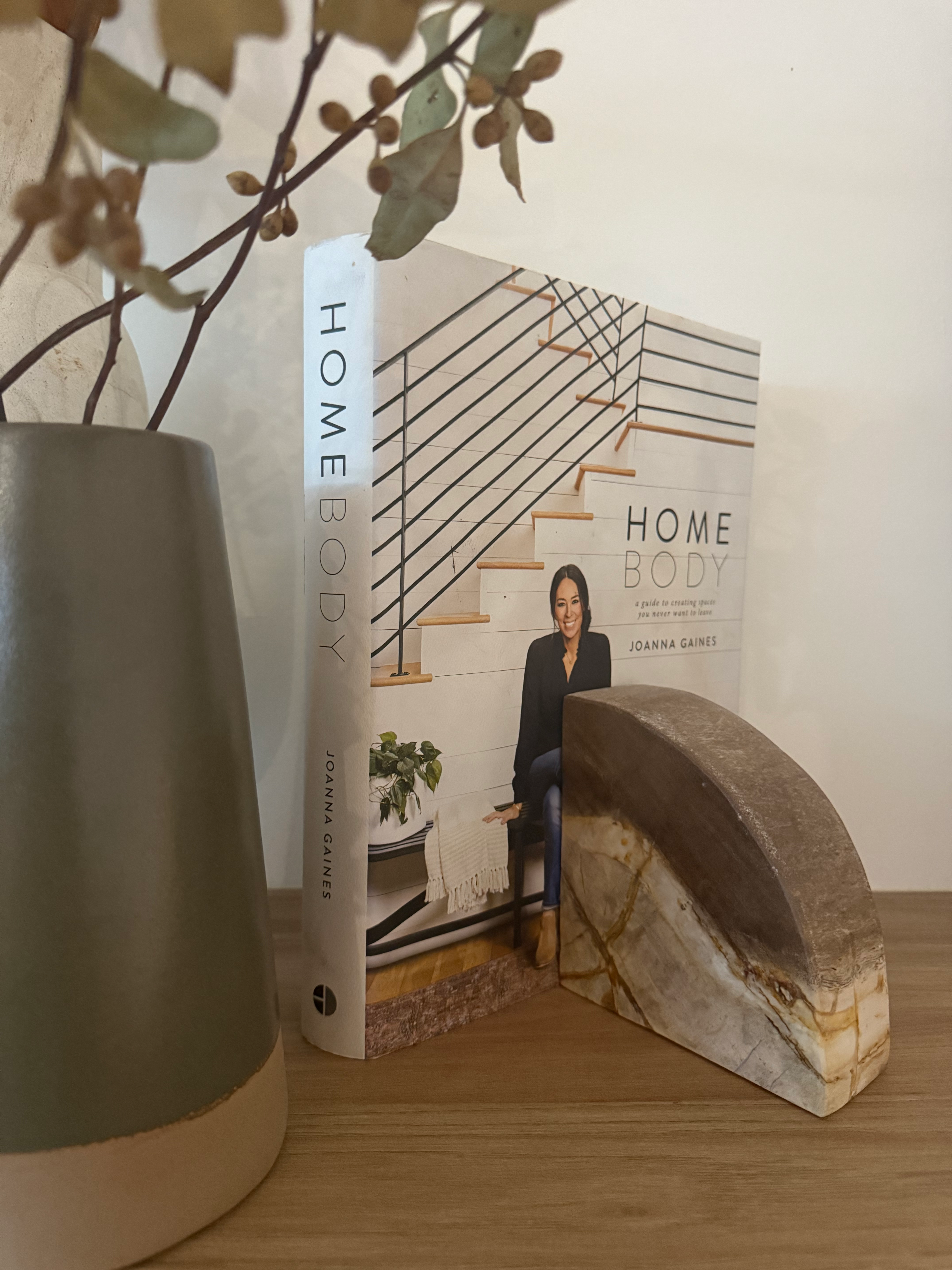 Acadia Petrified Wood Bookends