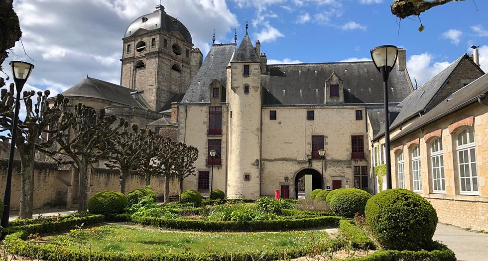 WhatsApp Image 2022-04-03 at 17.53.59.jpeg