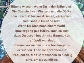 Wunder der Natur