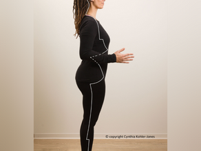 Funktion und Verlauf des Gallenblasen-Meridians