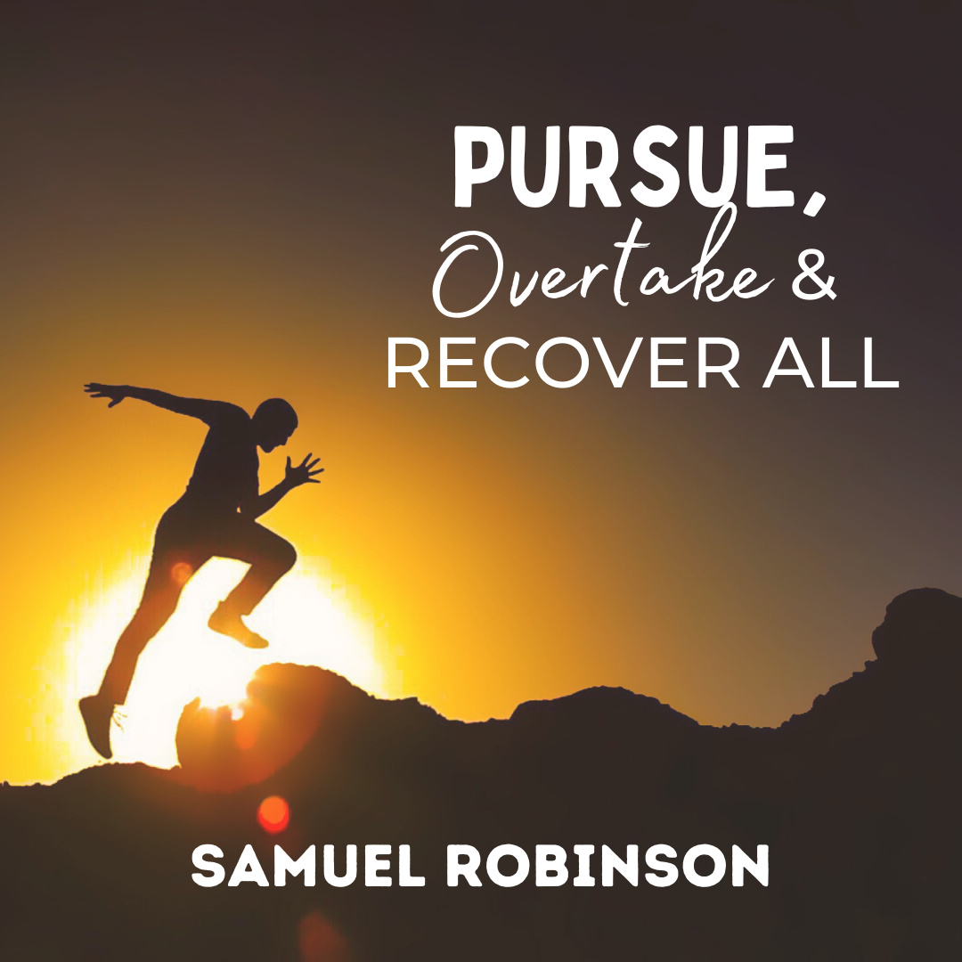 Pursue, Overtake and Recover All
