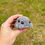 Thumbnail: Halloween Babies Pack - CROCHET PATTERN
