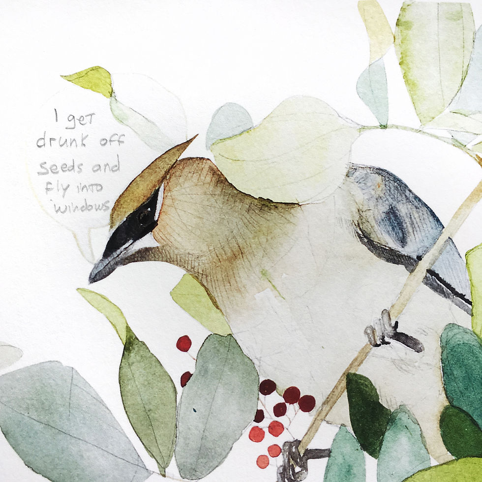 Thumbnail: Brazilian Pepper Relationships, framed original watercolor