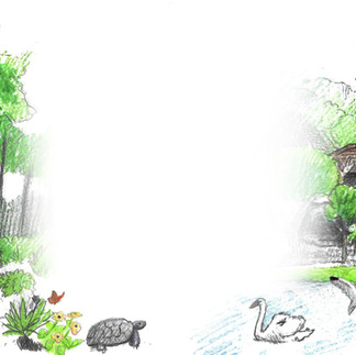 pine rocklands and pinecrest gardens lake concept sketch by Kim Heise