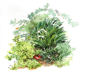 image1 (1).jpeg