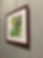 Thumbnail: Florida Native Plants, framed original watercolor
