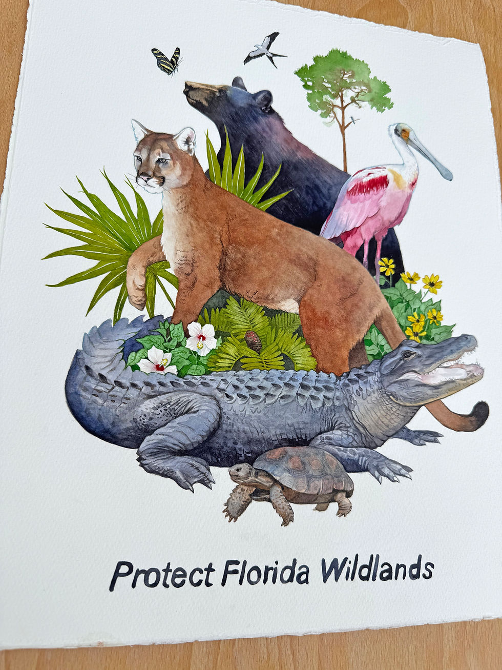 Thumbnail: Protect Florida Wildlands original watercolor
