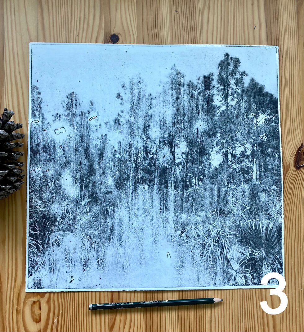 Thumbnail: Pine Rockland, Marl Prarie photo etchings