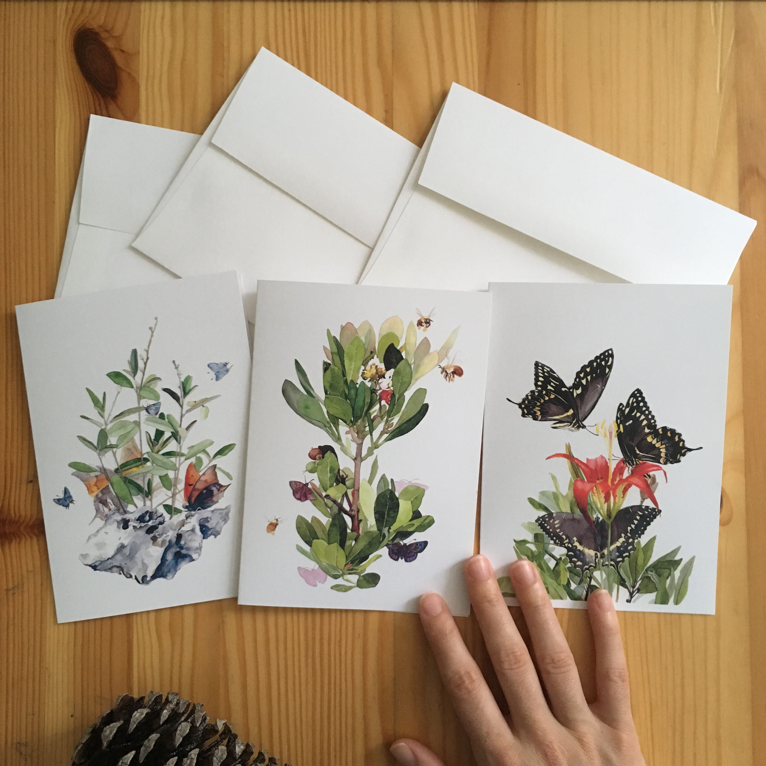 Butterfly Host Plant Stationary Cards