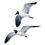Thumbnail: Laughing Gulls