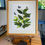 Thumbnail: Wireweed, framed print 2