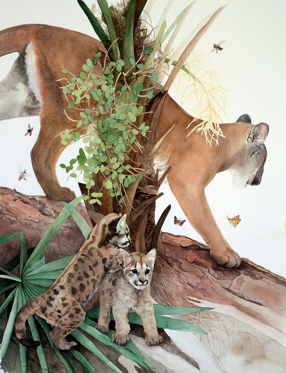 Thumbnail: Florida Panthers Stationary Cards