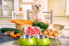 preparing-natural-food-for-pets-1137592020-52ac6351f68e499fb22594085222ca60_edited.jpg