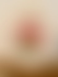 Red Flowers Embroidery