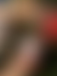 Polar Bear Tree Ornament