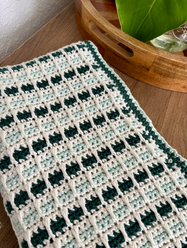 Quiet Tides Baby Blanket