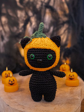 Pumpkin Cat
