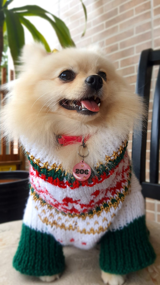 Christmas Sweater for Pets