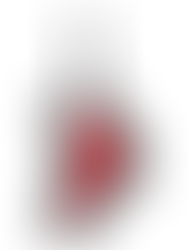 Santa's Boot