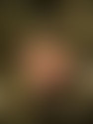 Reindeer Tree Ornament