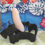 Miniature : Gode ceinture cyberskin