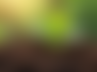 The Impact of Environmental Science on Food Security and Sustainability