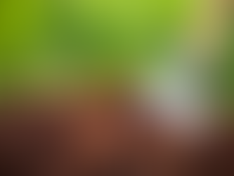 Soil Health and Food Production