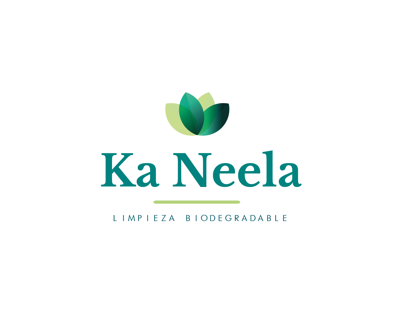 Atomizador Industrial.  Capacidad 1 litro