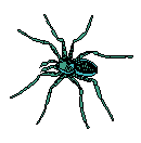 Spider Songs.gif