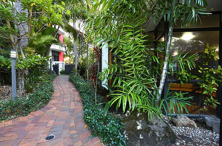 Jungle Footpath.jpeg