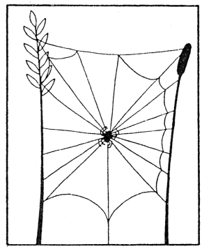 Web Build 6.gif