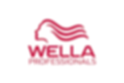 Wella hair products
