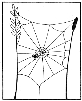 Web Build 7.gif