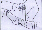Spider First Aid 2.gif