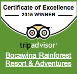 TripAdvisor Certificate of Excellence