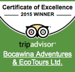 TripAdvisor Certificate of Excellence