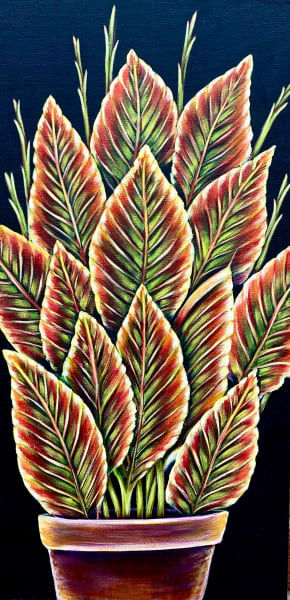 Petite Blooms - House Plant (12" x 24")