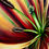 Thumbnail: Not So Mellow Yellow #1415  (30" x 40")