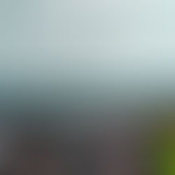 Isolatie met Remmers Kiesol C