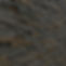 veneer background dark.JPG