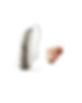page0.JPG