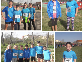 CROSS DE PARETS