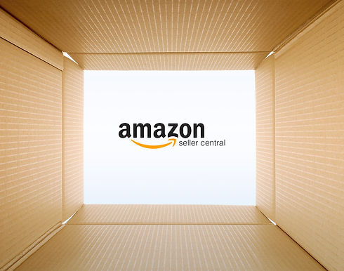 GESTIÓN CUENTA SELLER AMAZONIZATE.jpg