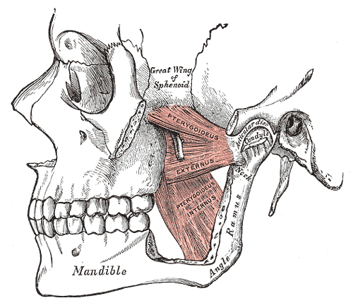 Intra-oral Massage for the Treatment of TMJ  Disorder