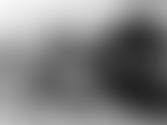 THE REAL SOFT UNDERBELLY: The United States’ Southern Flank—Central and South America