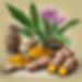 herbal,curcuma,ginger on the table.jpg