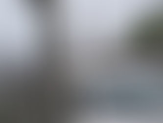 こんなに降るとは
