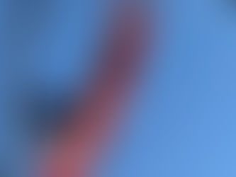 We Didn’t Start the Fire