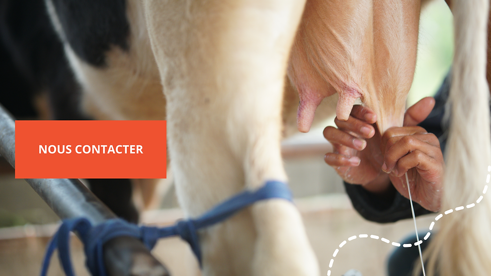 à propos de nous (1).png